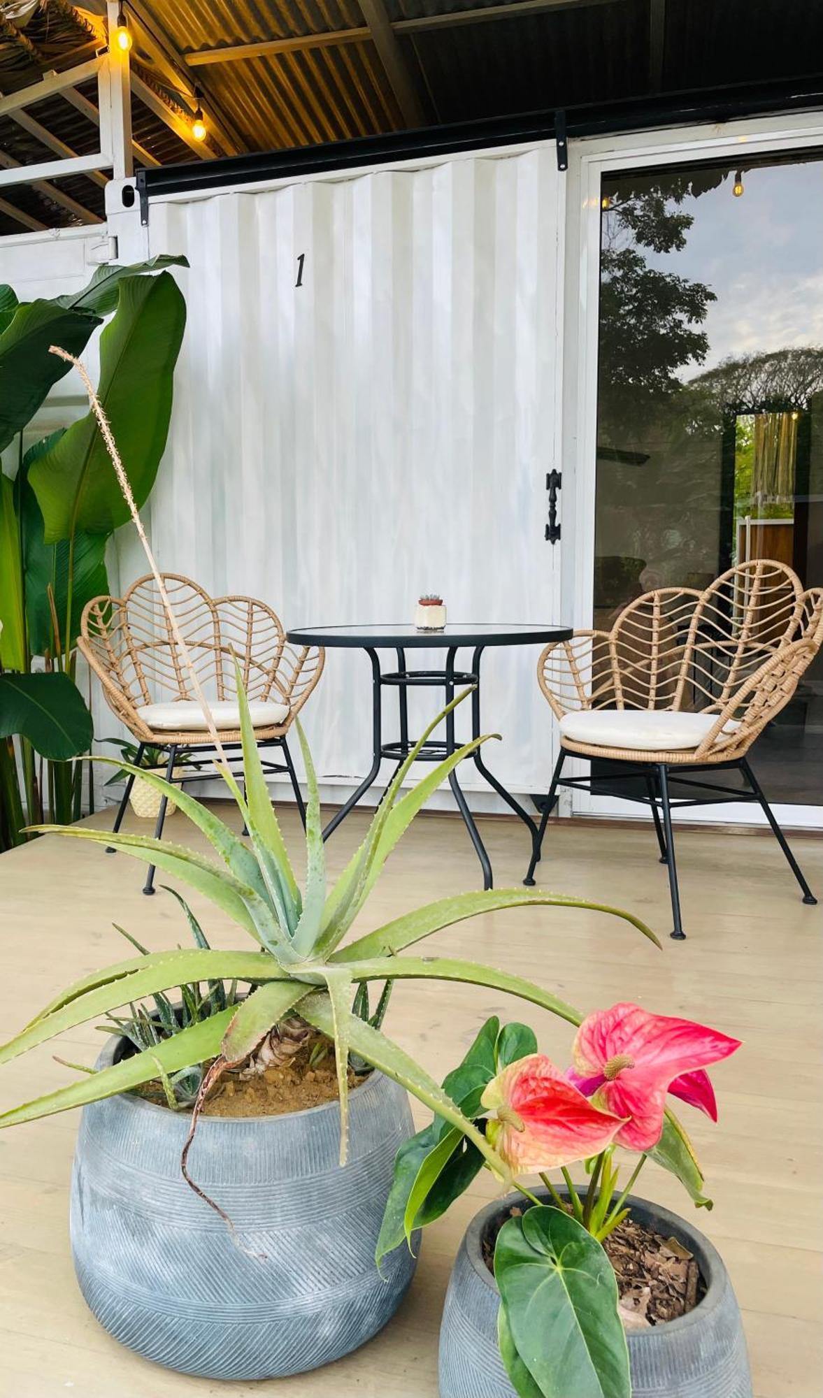 Casa Luce Bed & Breakfast Puerto Viejo de Talamanca Exterior photo